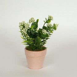 PLANT IN A POT, GREEN-LIGHT PINK 17cm 758-14019 PLANT IN A POT, GREEN-LIGHT PINK 17cm 758-14019