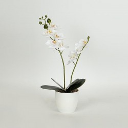 ORCHID , IN A POT, WHITE,35cm 758-14025 ORCHID , IN A POT, WHITE,35cm 758-14025