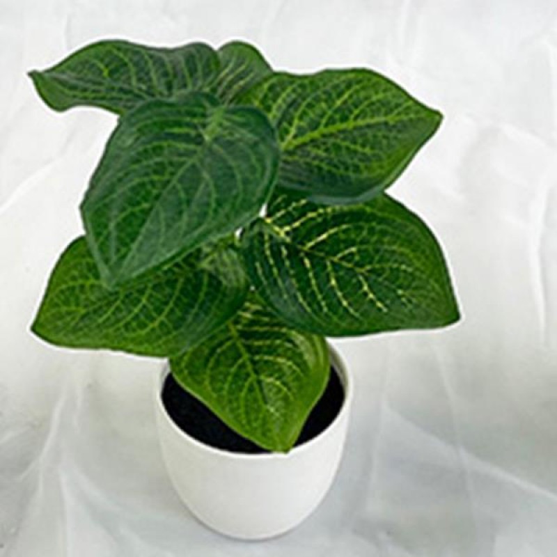 PLANT IN A POT, PLASTIC, WHITE, 20cm 758-14026