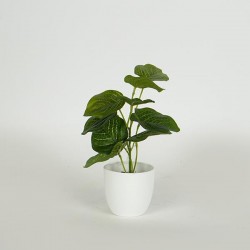 PLANT 20cm, IN A POT, PLASTIC, WHITE 758-14027 PLANT 20cm, IN A POT, PLASTIC, WHITE 758-14027