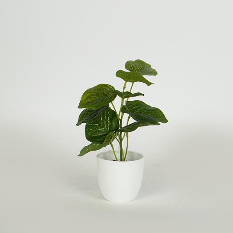 PLANT 20cm, IN A POT, PLASTIC, WHITE 758-14027