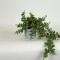 PLANT IN A POT, PLASTIC, WHITE, 45cm 758-14029