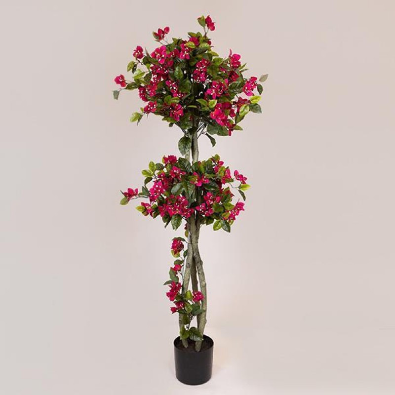BONGAINVILEA TREE,  PINK FLOWERS, IN A POT,  PLASTIC, BLACK, 167CM 758-14040