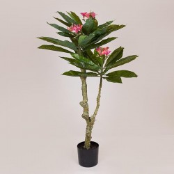 PLUMERIA TREE, PINK FLOWERS, IN A POT, PLASTIC, BLACK, 116cm 758-14041 PLUMERIA TREE, PINK FLOWERS, IN A POT, PLASTIC, BLACK, 116cm 758-14041