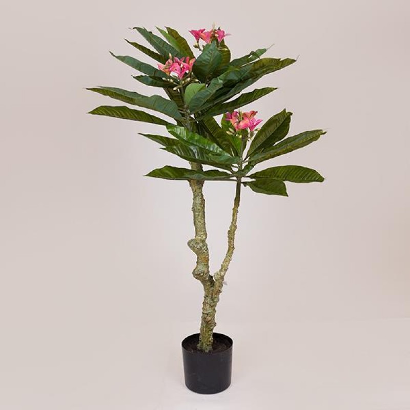 PLUMERIA TREE, PINK FLOWERS, IN A POT, PLASTIC, BLACK, 116cm 758-14041
