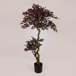 SUKI FICUS TREE,  RED-BLACK LEAVES, IN A POT,  PLASTIC, BLACK, 137cm 758-14043