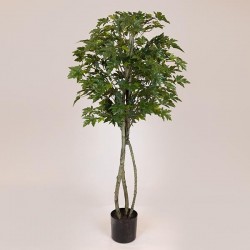 MAPLE IVY TREE, IN A POT, PLASTIC, BLACK, 167cm 758-14044 MAPLE IVY TREE, IN A POT, PLASTIC, BLACK, 167cm 758-14044