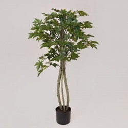 MAPLE IVY TREE, IN A POT, PLASTIC, BLACK, 137cm 758-14045 MAPLE IVY TREE, IN A POT, PLASTIC, BLACK, 137cm 758-14045
