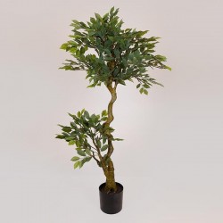 SUKI FICUS TREE, GREEN LEAVES, IN A POT,  PLASTIC, BLACK, 135cm 758-14046
