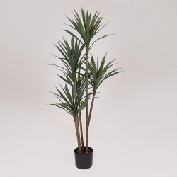 YUCA PLANT, IN A POT,  PLASTIC, BLACK, 120cm 758-14048