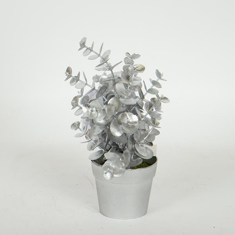 PLANT  IN  A  POT, EUCALYPTUS, GOLD, 20cm 758-14061