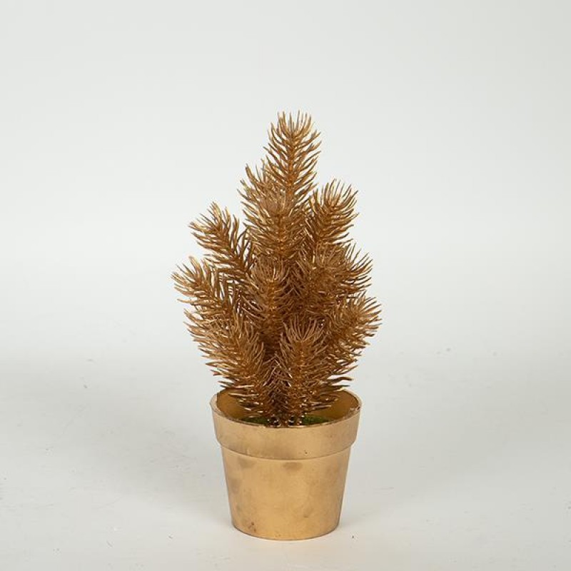 PLANT  IN  A  POT, ROSEMARY, GOLD, 20cm 758-14063