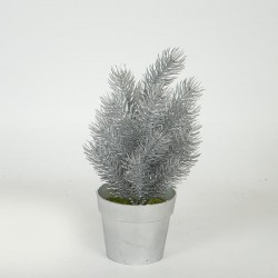 PLANT IN A POT, ROSEMARY, SILVER, 20cm 758-14064 PLANT IN A POT, ROSEMARY, SILVER, 20cm 758-14064