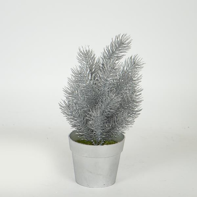 PLANT  IN  A  POT, ROSEMARY, SILVER, 20cm 758-14064