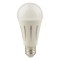 LED BULB Α80 24W 2800lm Ε27 2700K 175-250V 147-77037