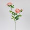 FLOWER/BRANCH, LOTUS, SALMON, cm 816-20012