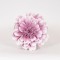 ПУРПУРНО-БЯЛА КОЛЕДНА КЛОНКА С ПЯНА