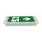 EMERGENCY LIGHT 20 SMD LED 3W 220/240V IP65 145-28122