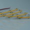 LED TAPE COB 5M 16W 24V 6500K 480L/M IP20 PRO 145-72050