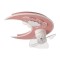 KIDS CEILING FAN MOON PINK 24W WITH LED LIGHT 41W AND CONTROL 300-25061