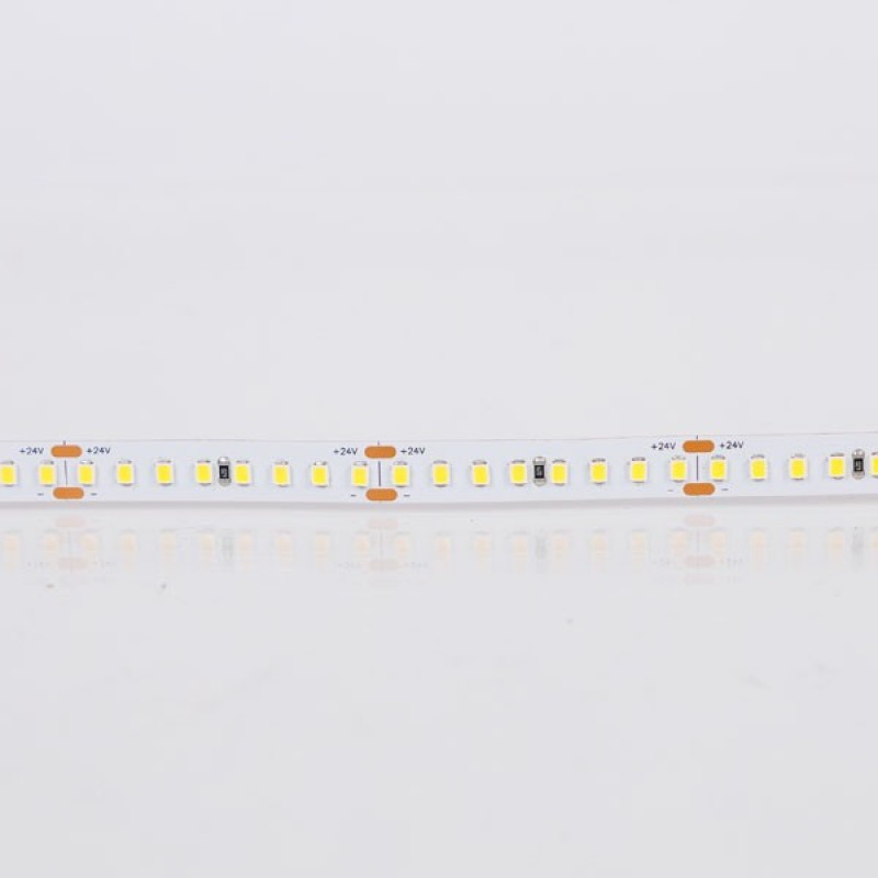 LED TAPE 5M 14,4W 24V 6500K 160L/M IP20 PRO 145-73420