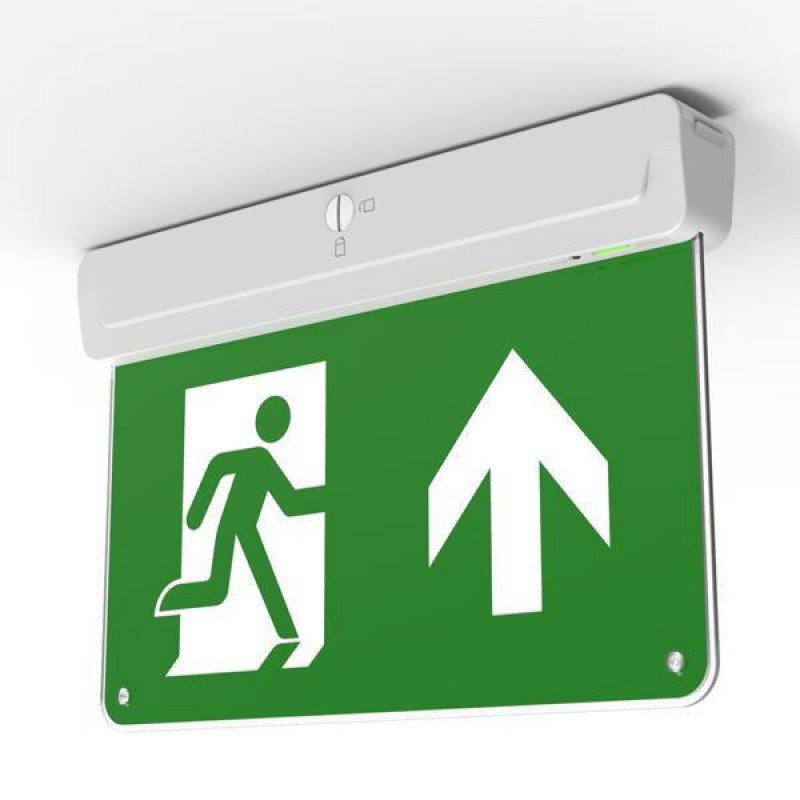 EMERGENCY LIGHT CEILING-WALL MOUNT MAINTAINED 30 SMD LED 3W IP20 145-28151