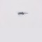 CEILING DISTANT BASE 145-79813