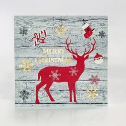 CANVAS PICTURE WITH DEER DESIGN, 25X25X3cm, WITH 15 LED, BATTERY OPERATED 600-41503 CANVAS PICTURE WITH DEER DESIGN, 25X25X3cm, WITH 15 LED, BATTERY OPERATED 600-41503