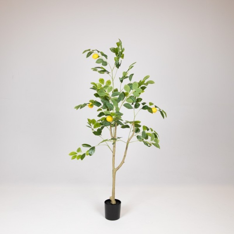 ARTIFICIAL LEMON TREE, WITH PLASTIC POT, FABRIC-PLASTIC-IRON, 120cm 816-50053