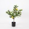 ARTIFICIAL LEMON TREE, WITH PLASTIC POT, FABRIC-PLASTIC-IRON, 60cm 816-50055