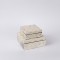 S/2 DECORATION BOX SEASHELL BEIGE - IRIDESCENT WHITE 20x20x8cm / 15x15x6cm 819-01066