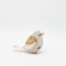 BIRD WHITE-GOLD 16Χ7.5Χ11CM 819-01229