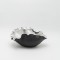 DECORATIVE PLATE - SHELL POLYRESIN SILVER - BLACK  29.5x20.5x13cm 819-01434