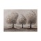 CANVAS WALL ART 3 TREES BROWN-WHITE-SILVER 120x80cm 812-20071