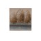 CANVAS WALL ART TREES BROWN-WHITE-LIGHT BLUE 40x2.5x40cm 812-20073