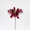 FLOWER BOW, BURGUNDY, 27x45cm 600-47404